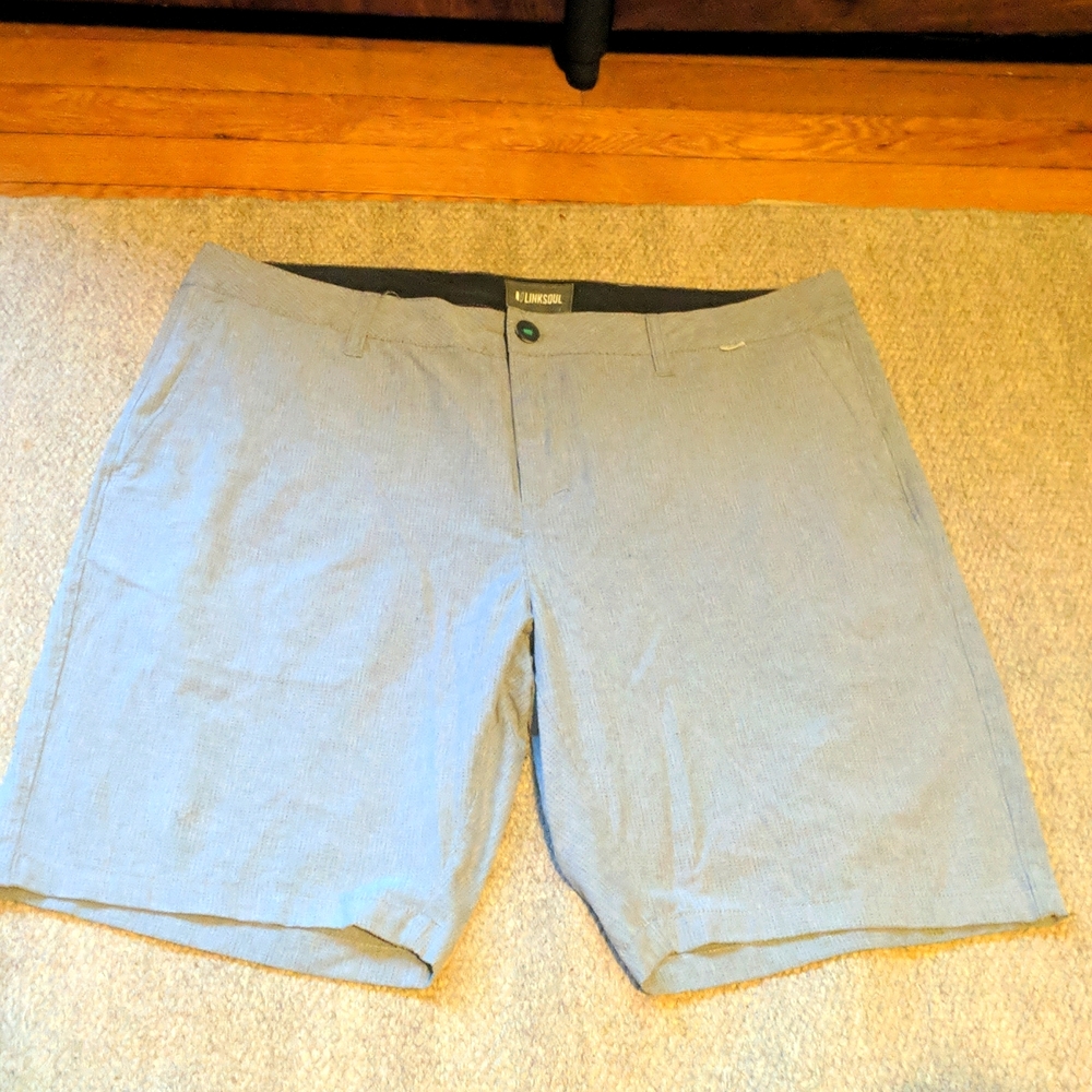 Linksoul Solid Boardwalker Shorts - image 1